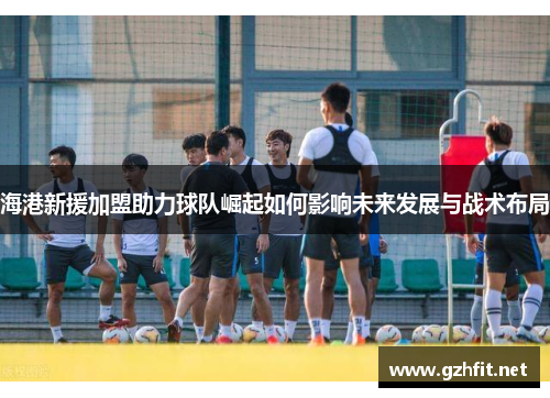 海港新援加盟助力球队崛起如何影响未来发展与战术布局