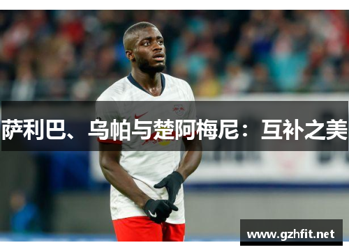 萨利巴、乌帕与楚阿梅尼：互补之美